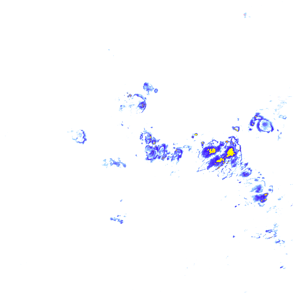 rainLayer