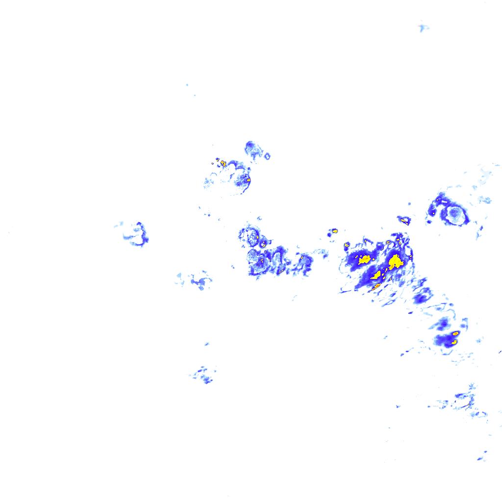 rainLayer
