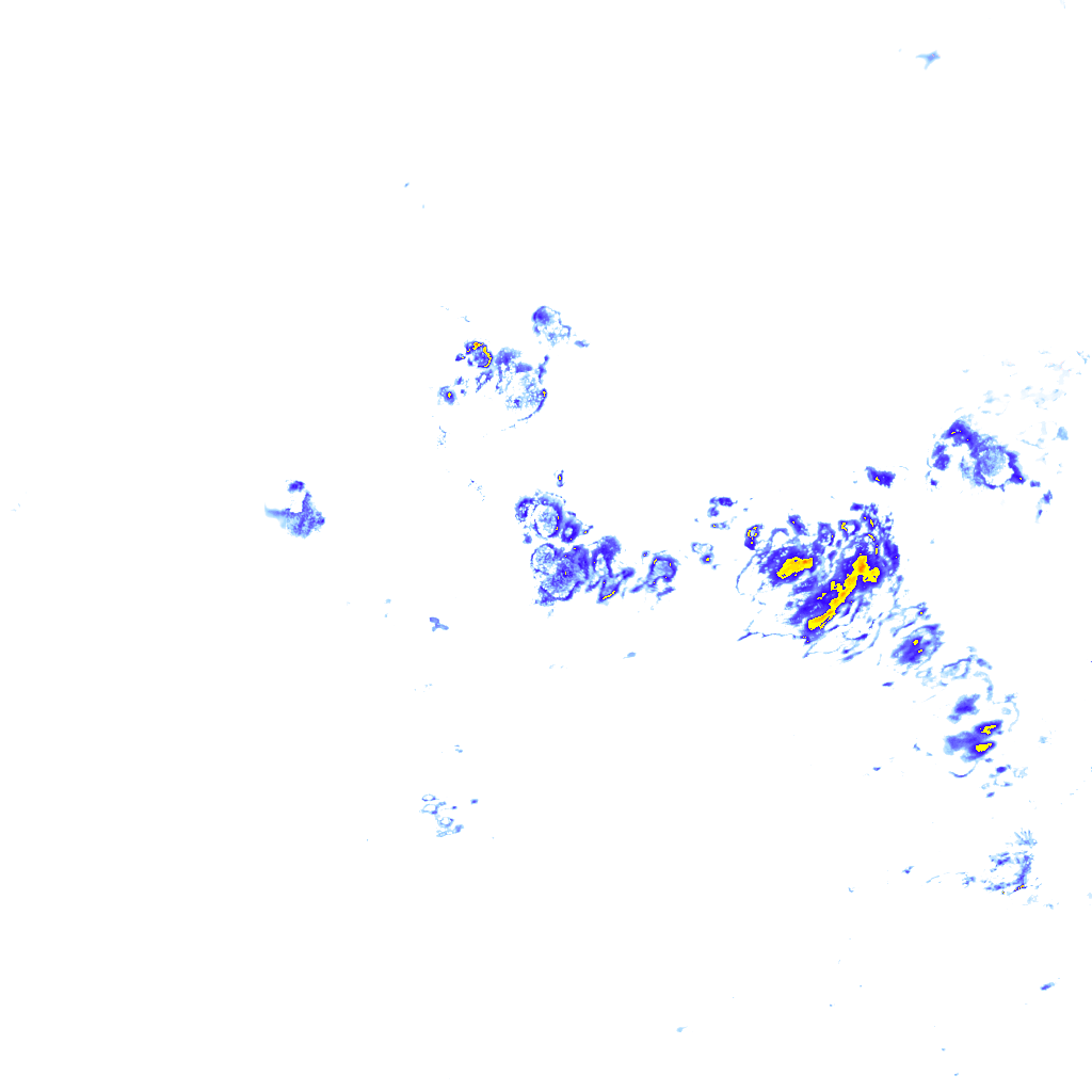 rainLayer