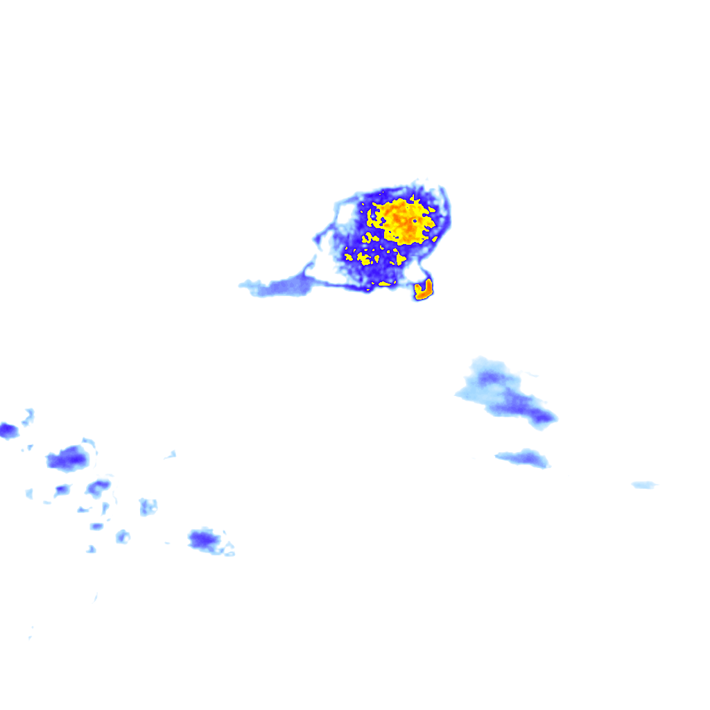 Image Layer