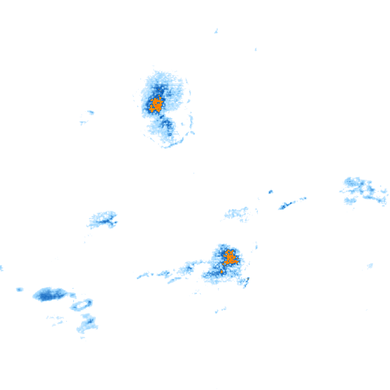 rain layer