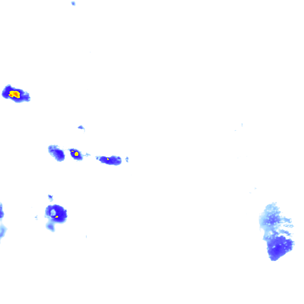 rainLayer