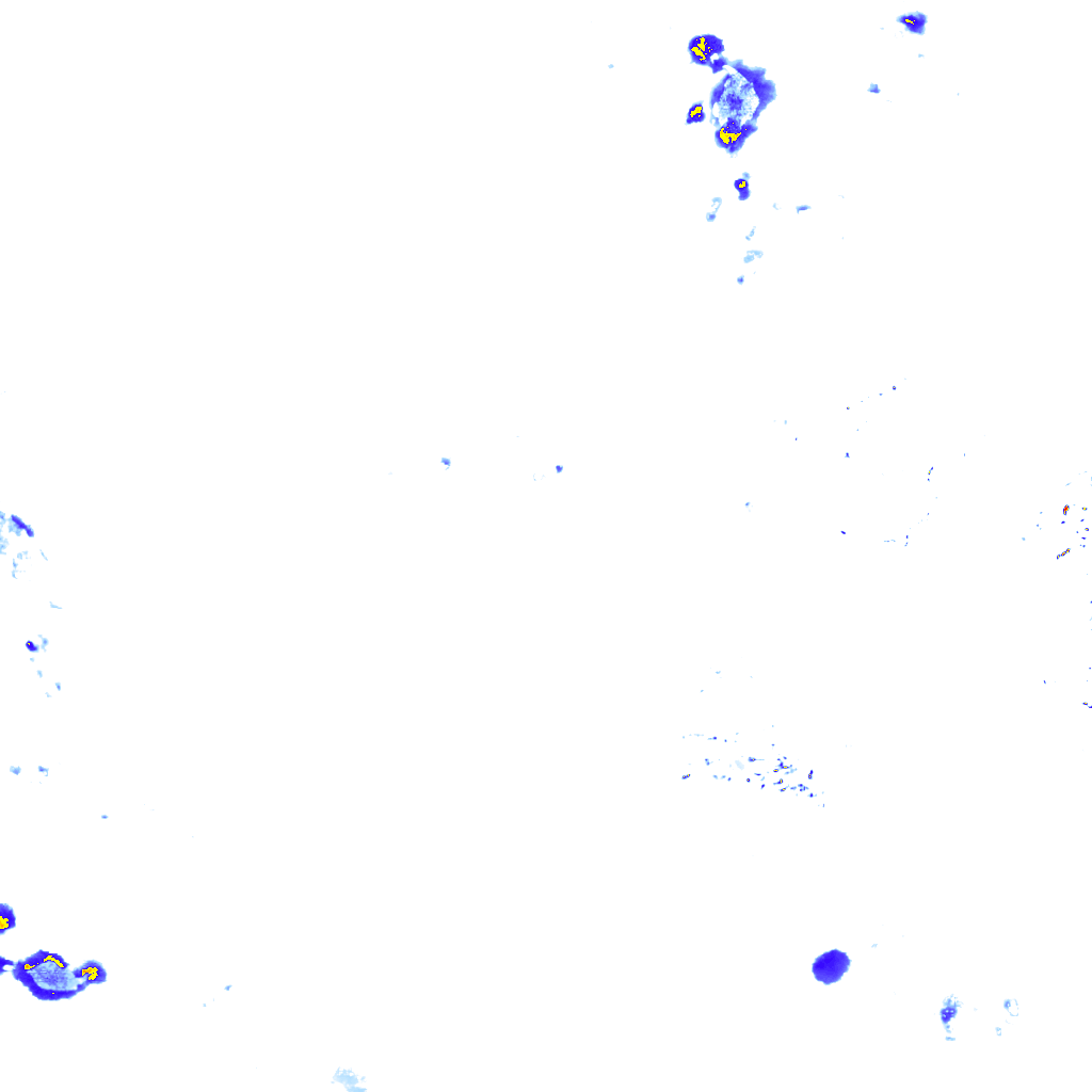 rainLayer