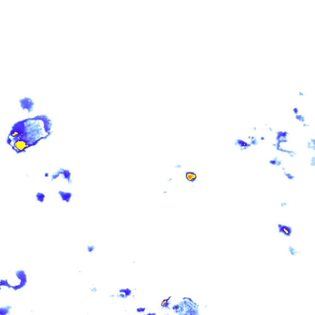 rainLayer