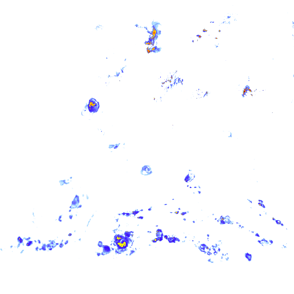 rainLayer
