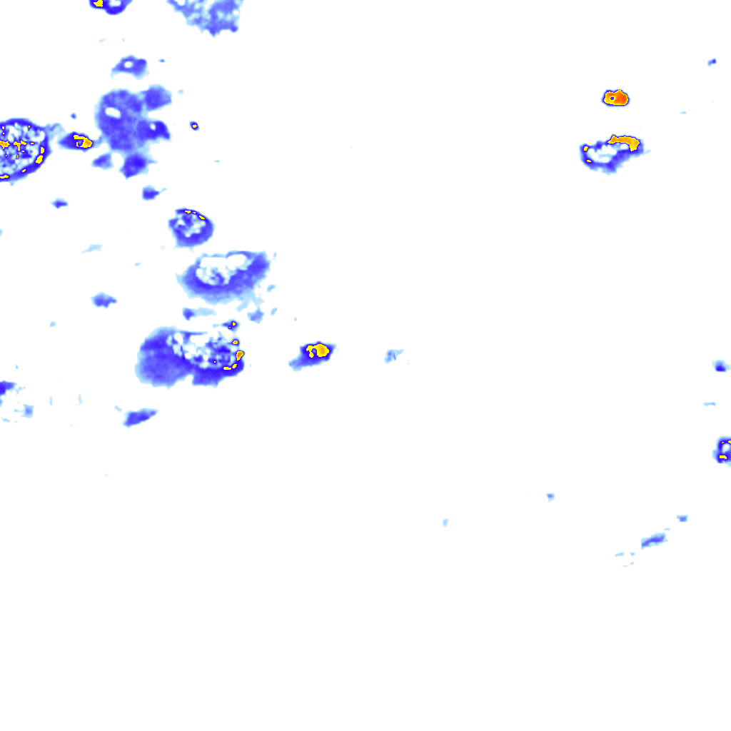 rainLayer