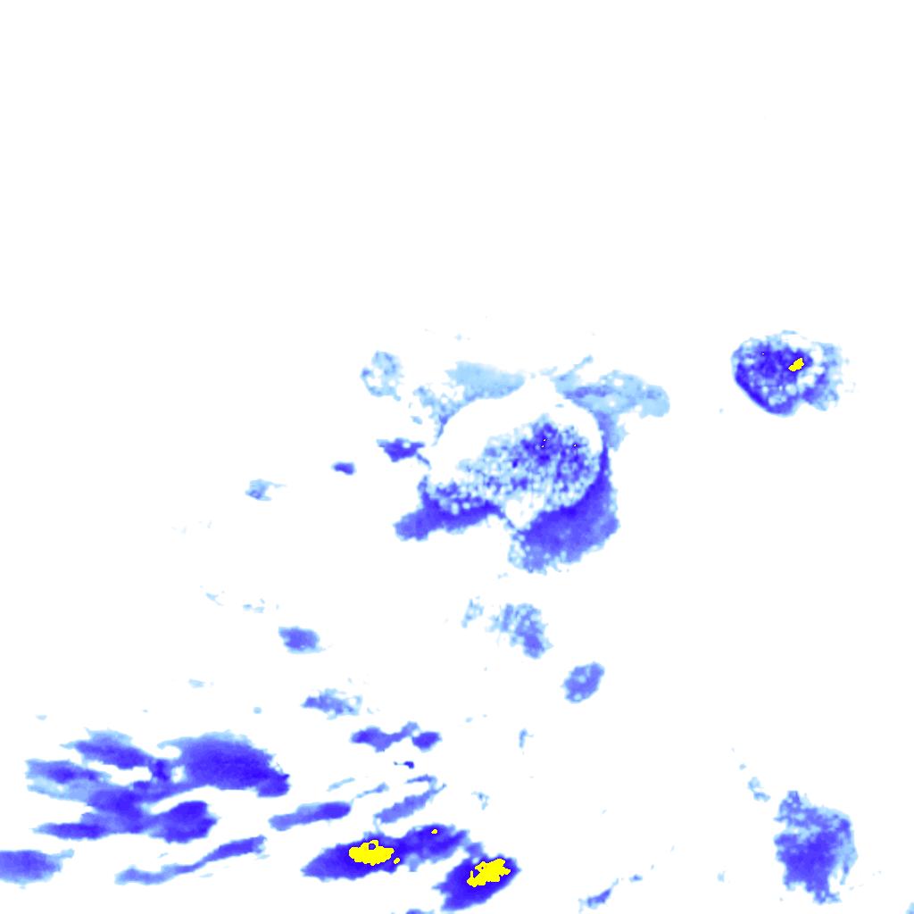 rainLayer