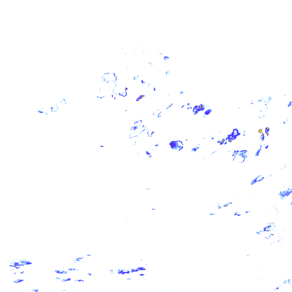 rainLayer