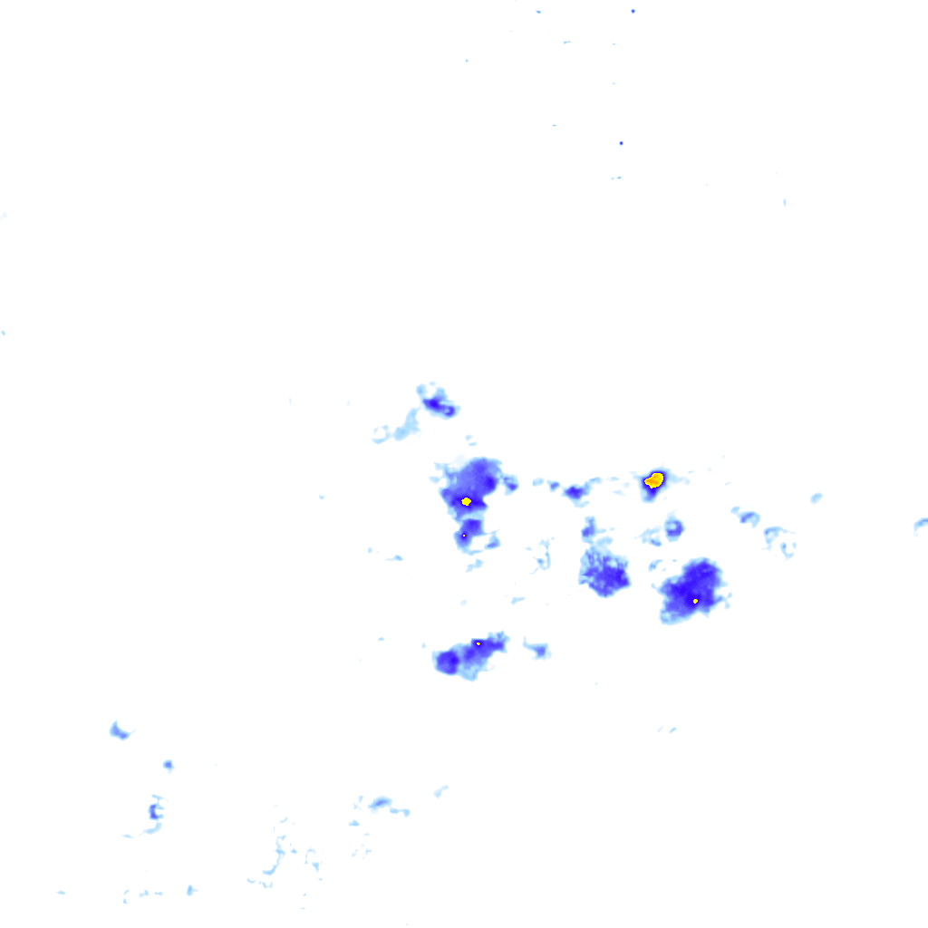 rainLayer