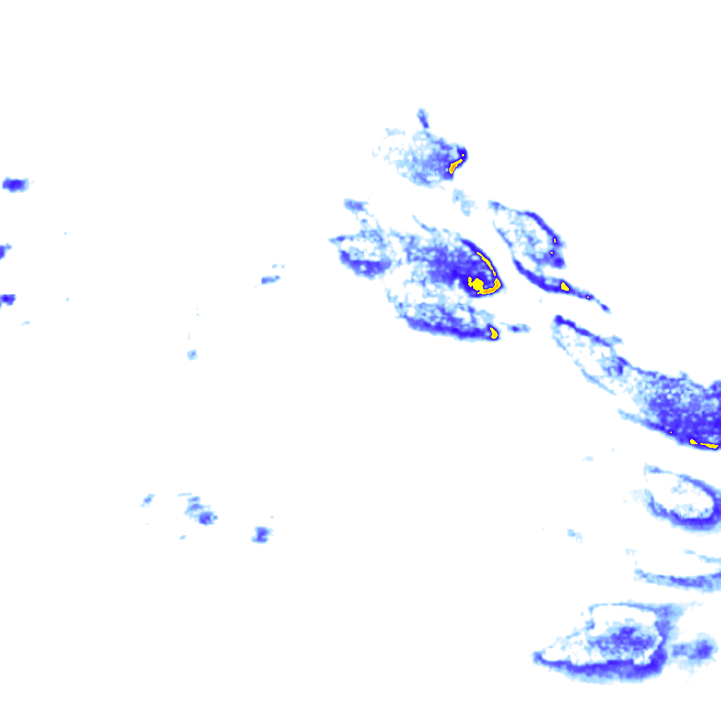 rainLayer