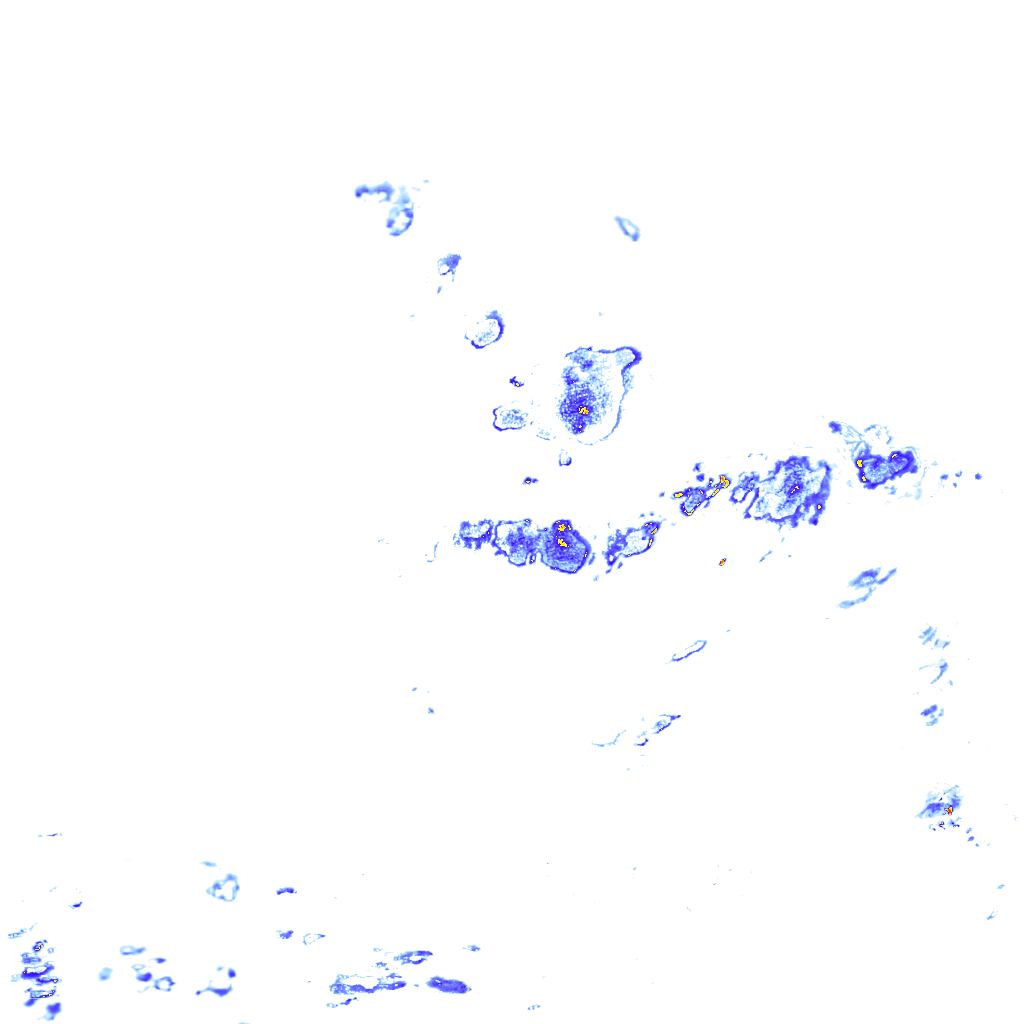 rainLayer