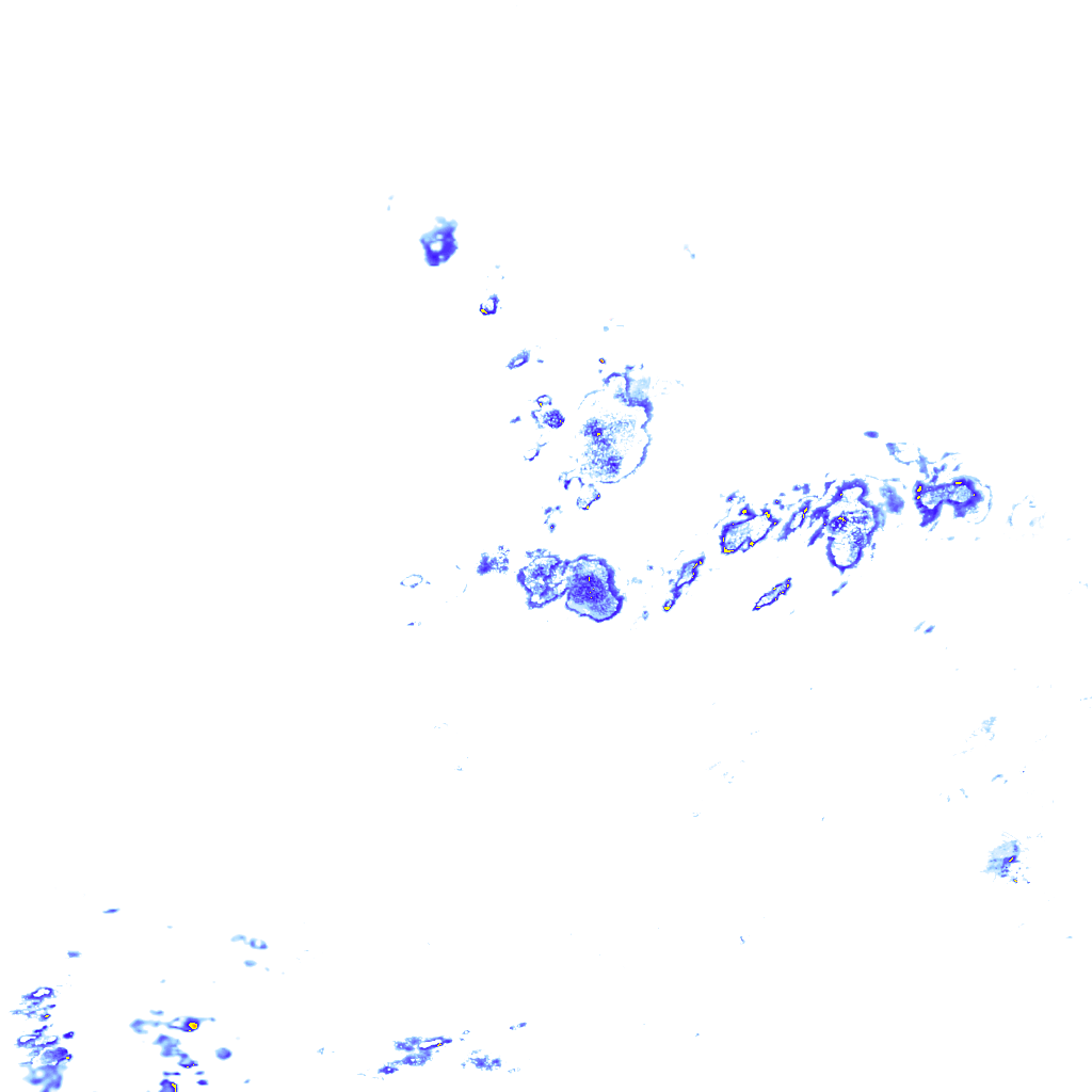 rainLayer