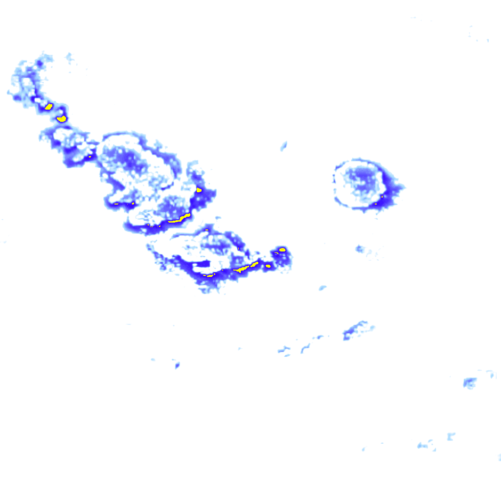 rainLayer