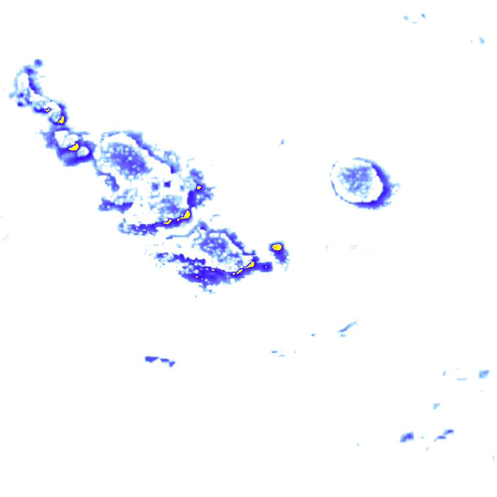 Image Layer