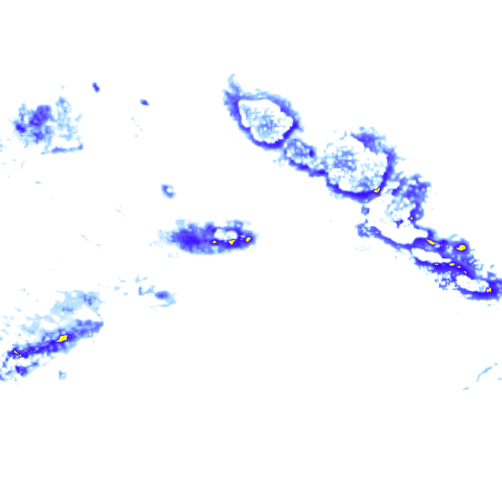 rainLayer