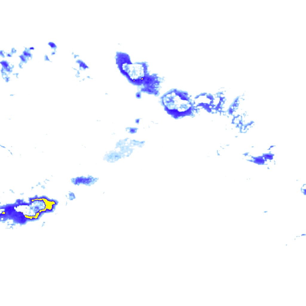 rainLayer