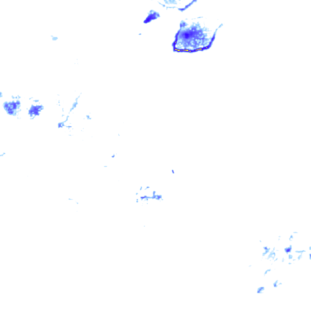 rainLayer