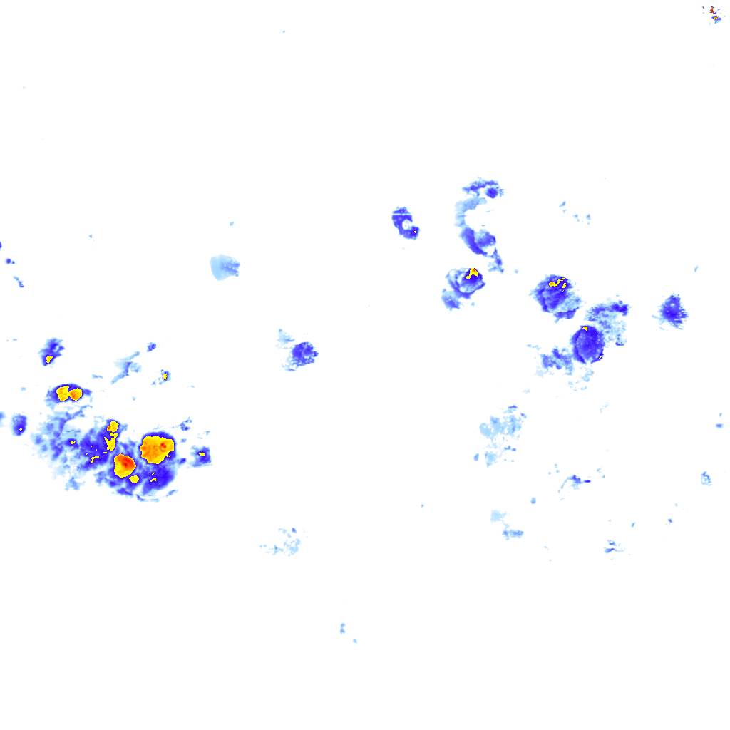 rainLayer