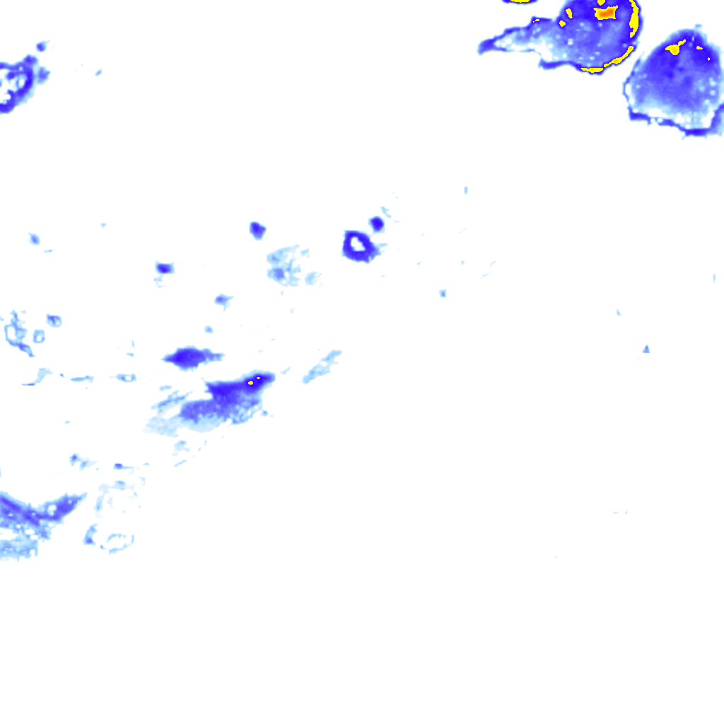 rainLayer