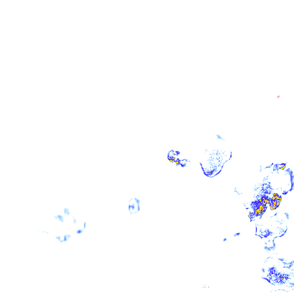 rainLayer