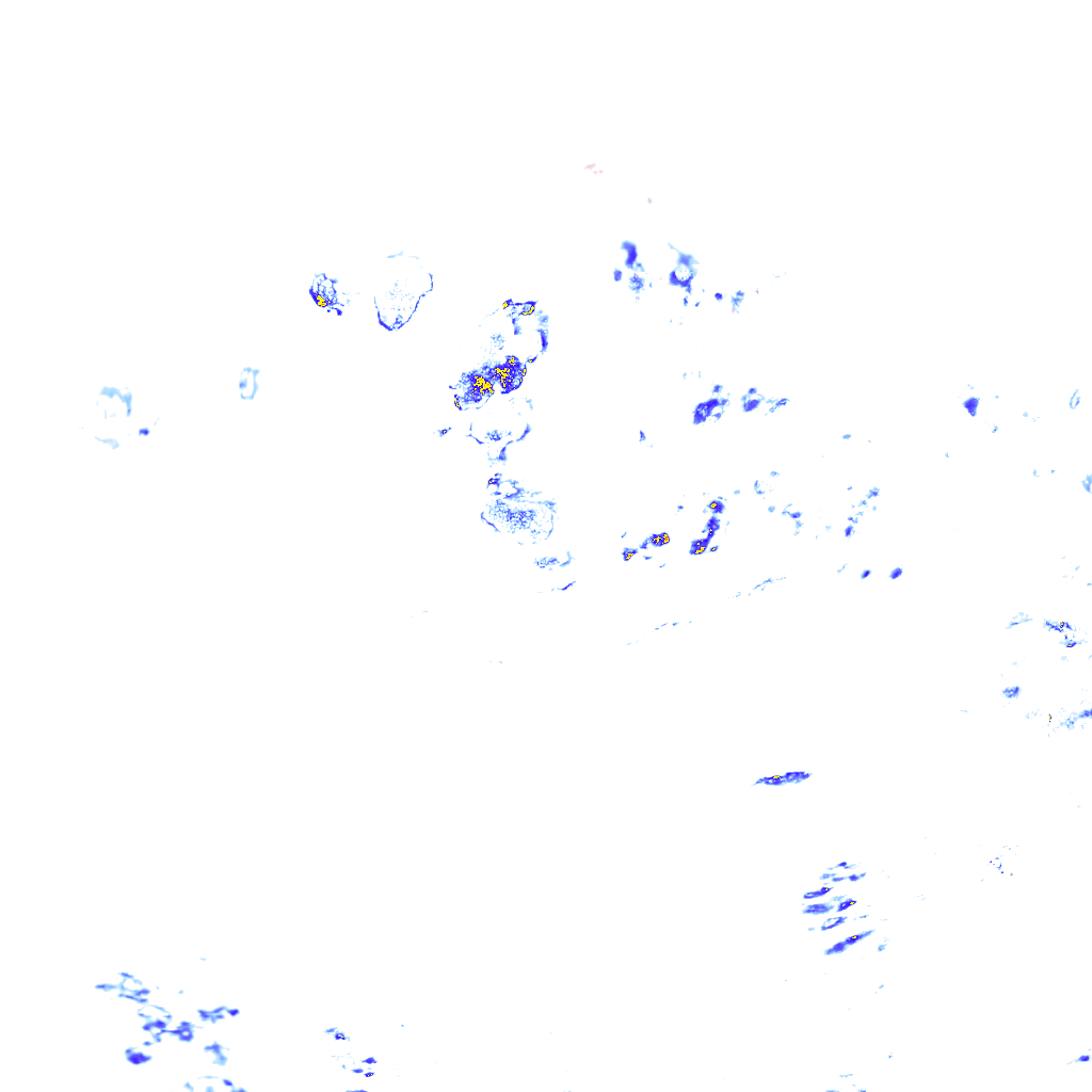 rainLayer