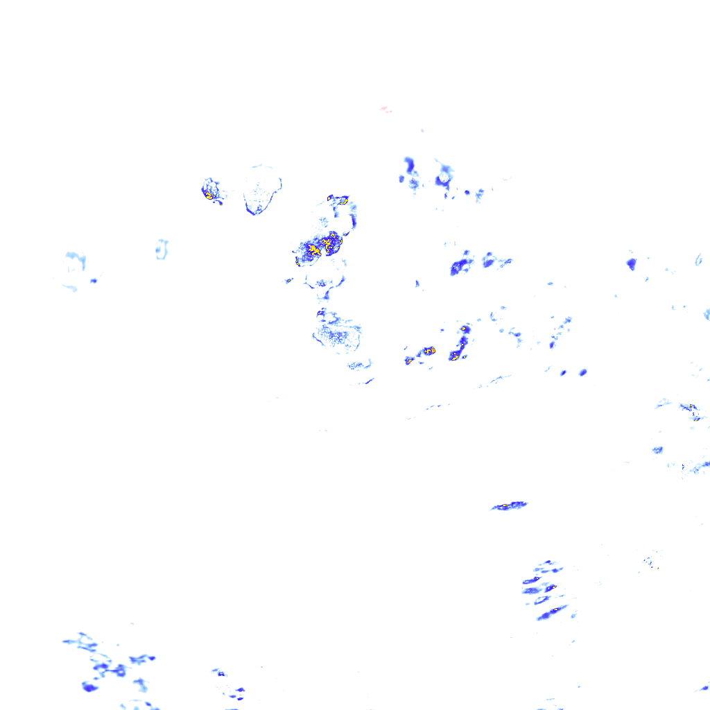 rainLayer
