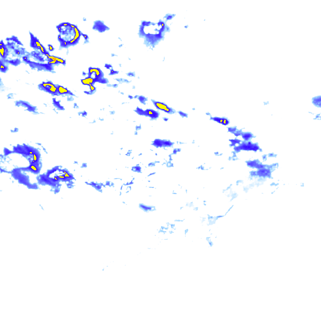 rainLayer