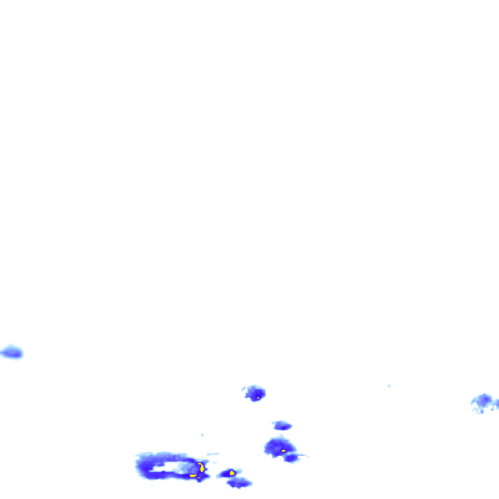 rainLayer