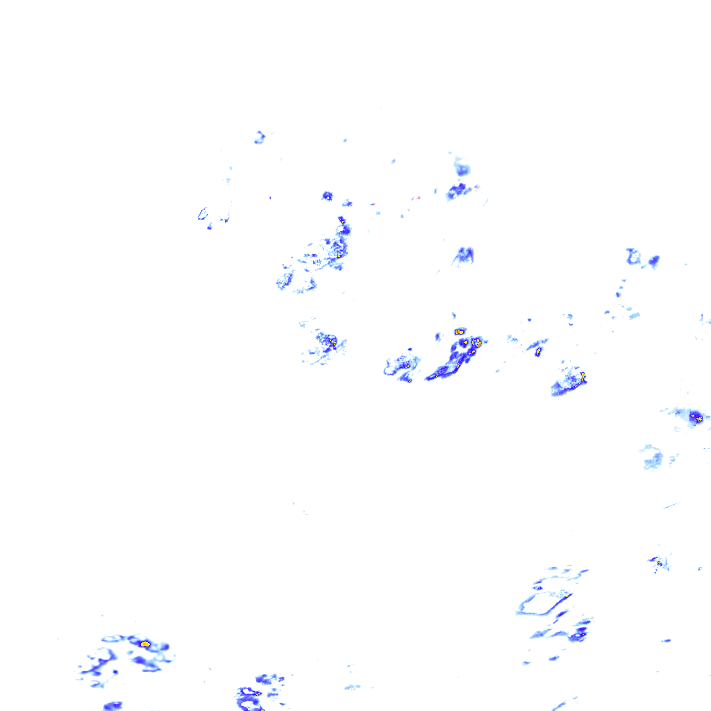 rainLayer