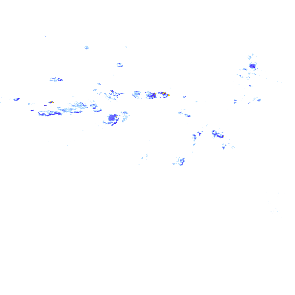 rainLayer