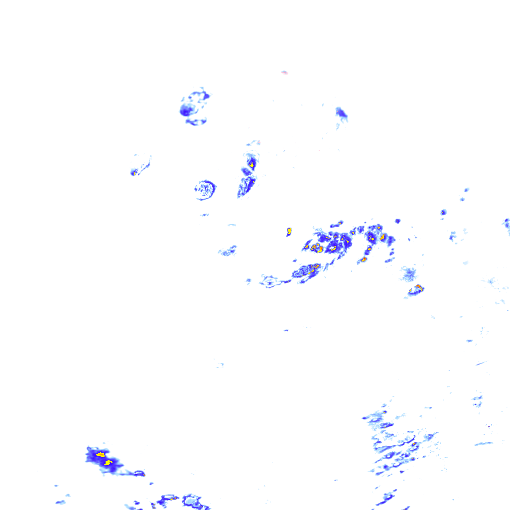 rainLayer