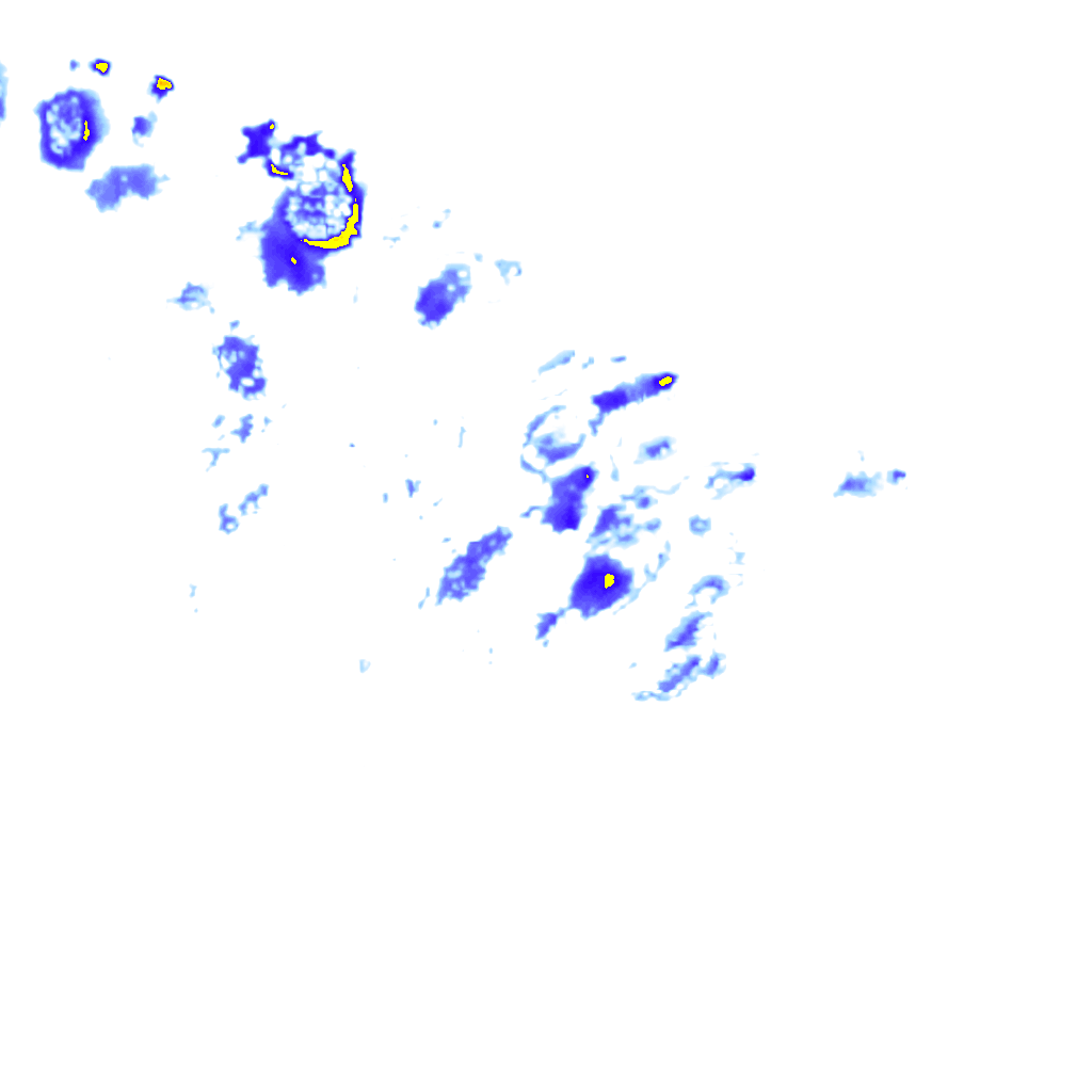 rainLayer