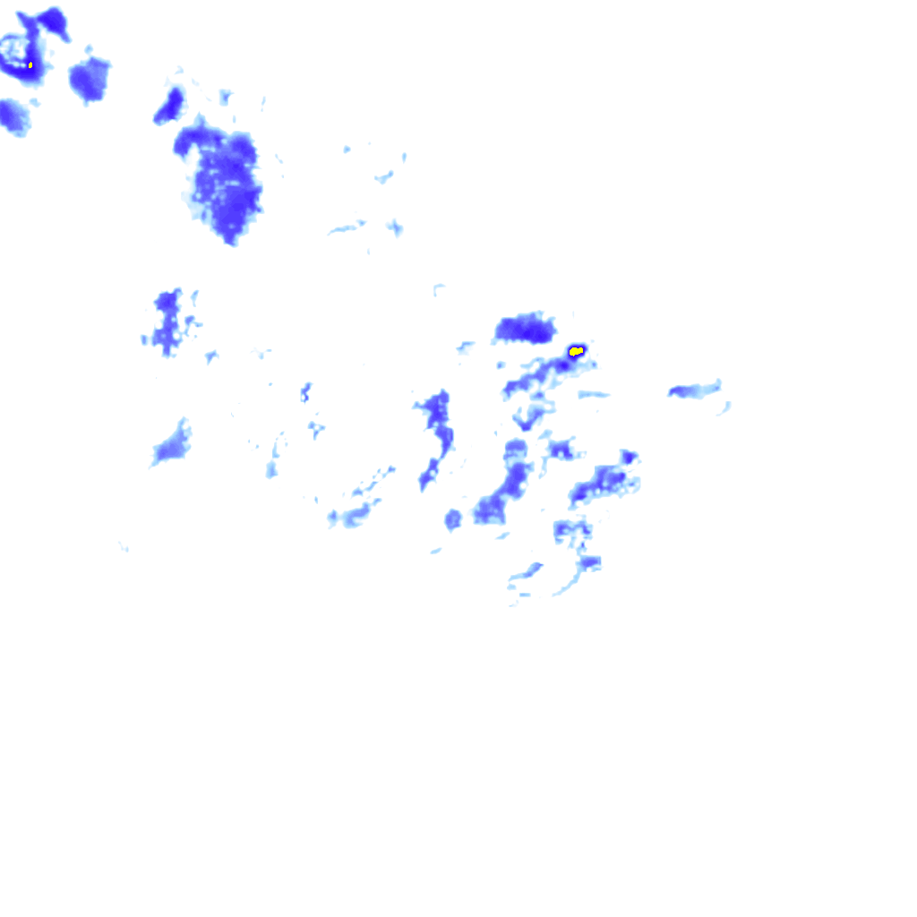 rainLayer