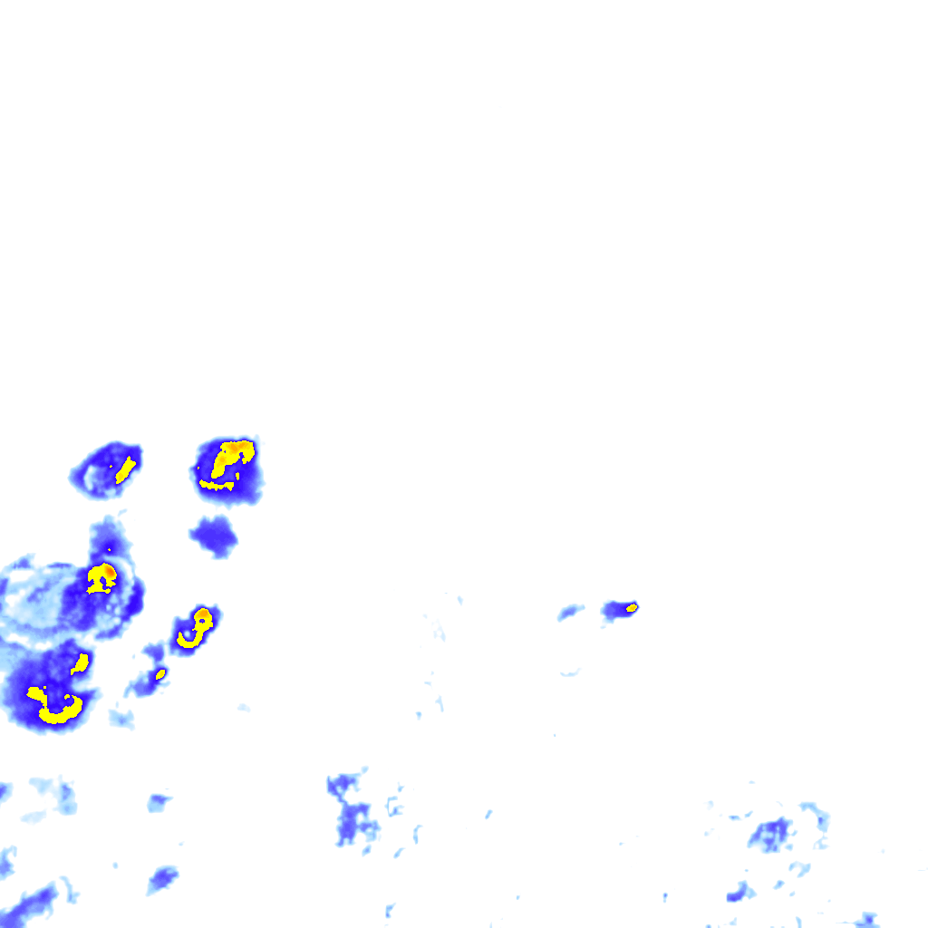 rainLayer
