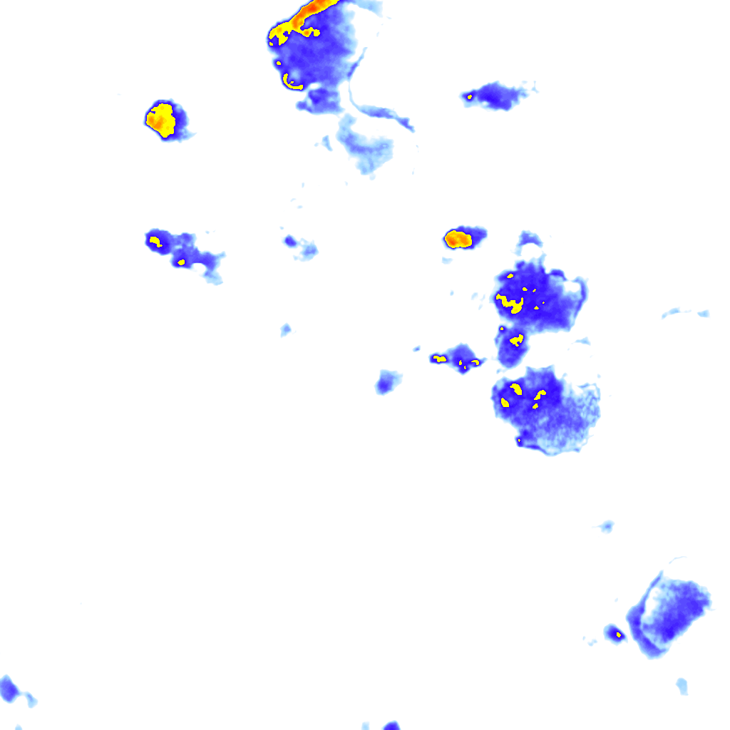 rainLayer