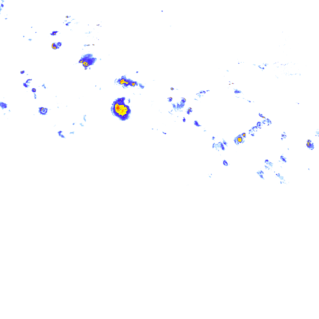 rainLayer
