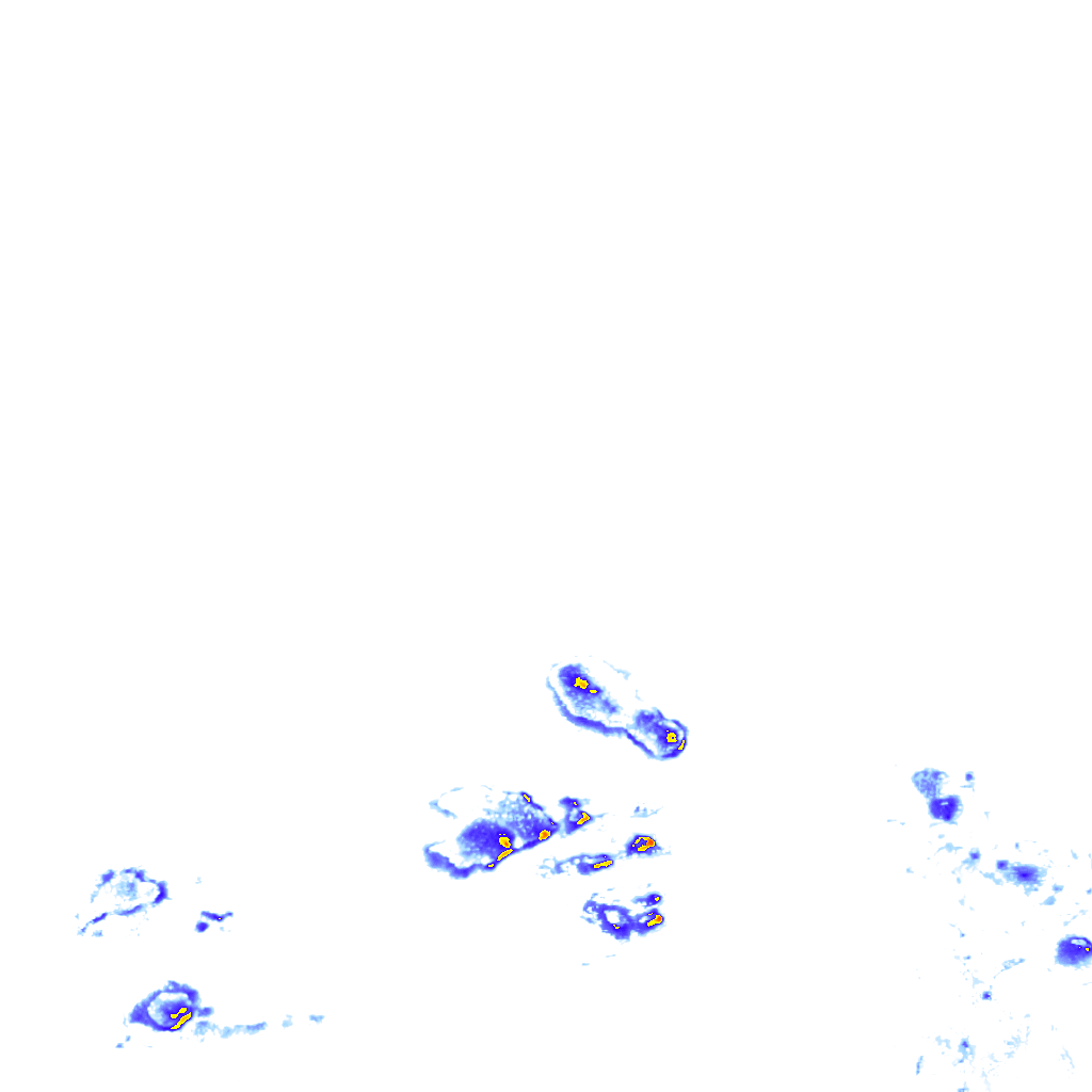 rainLayer
