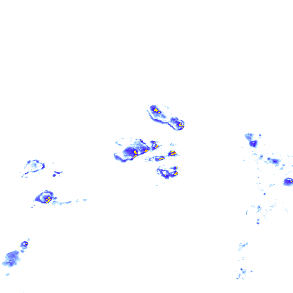 rainLayer