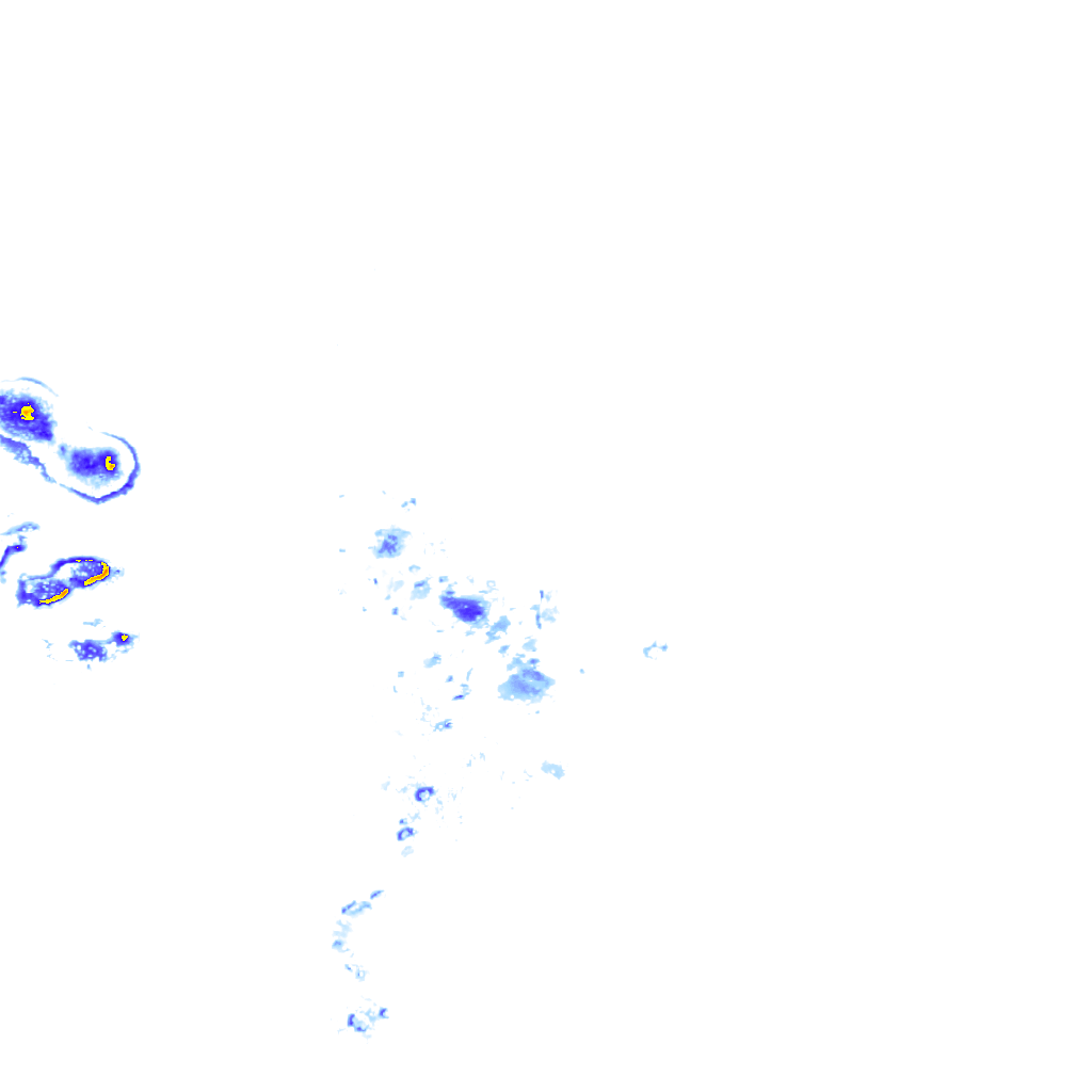 rainLayer