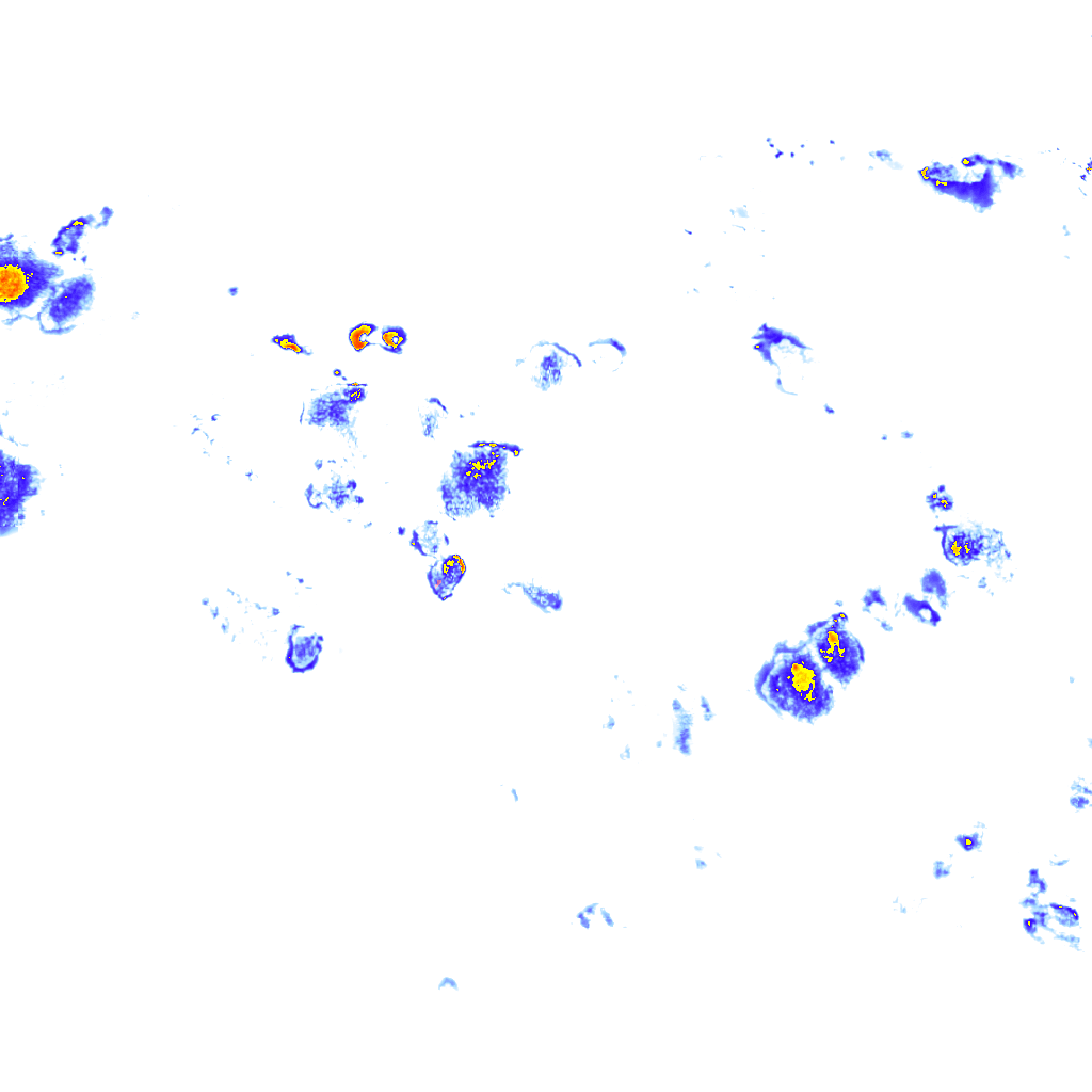 Image Layer
