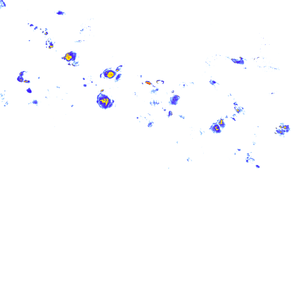 rainLayer