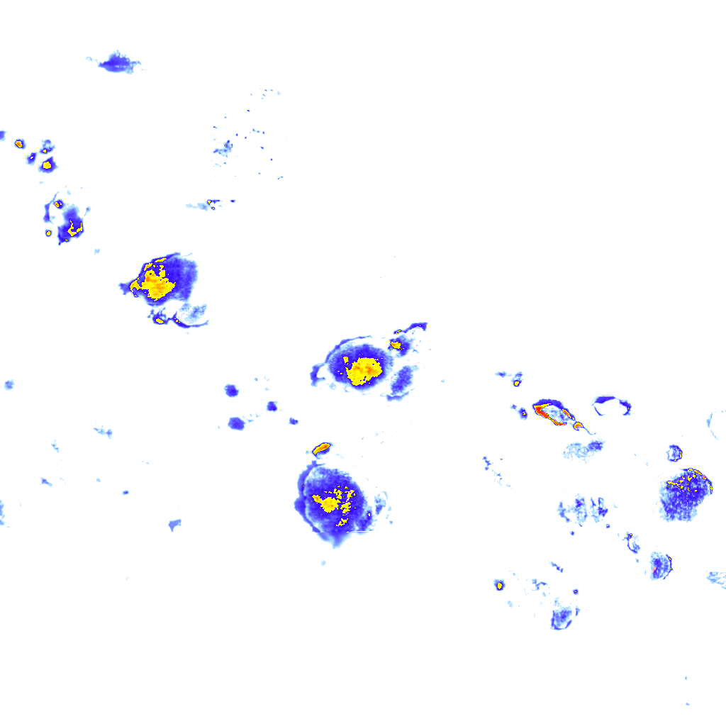 Image Layer