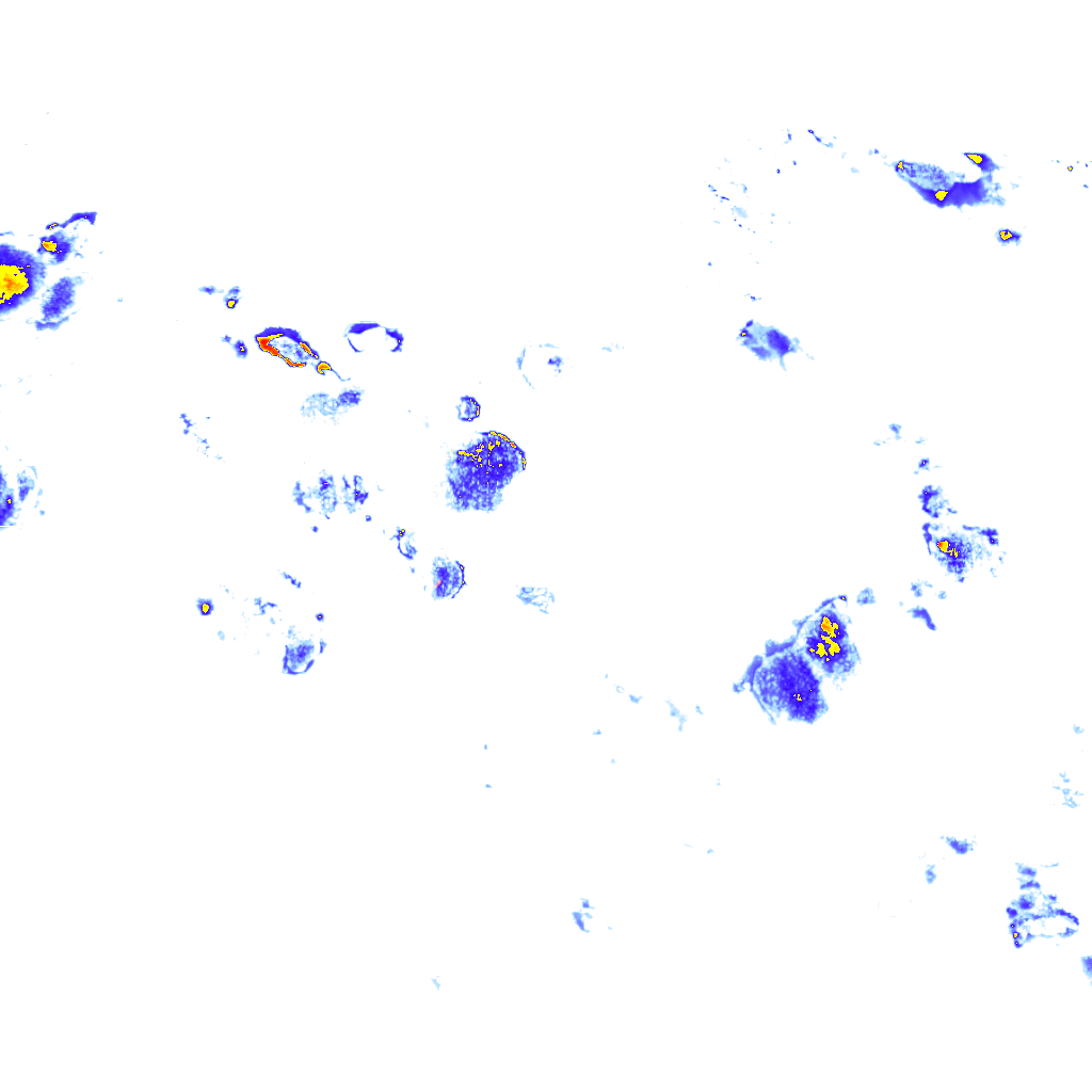 rainLayer