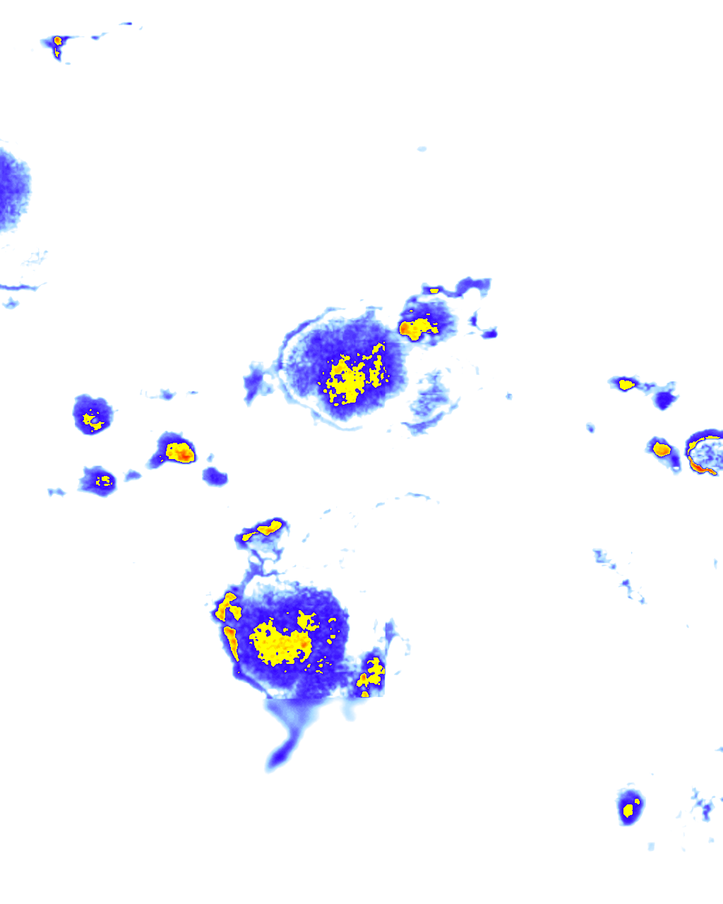 Image Layer