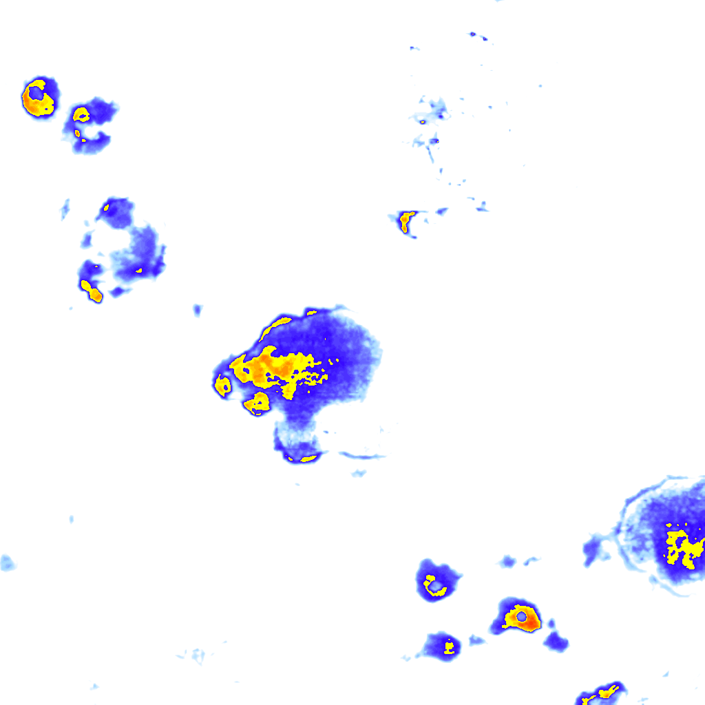 rainLayer