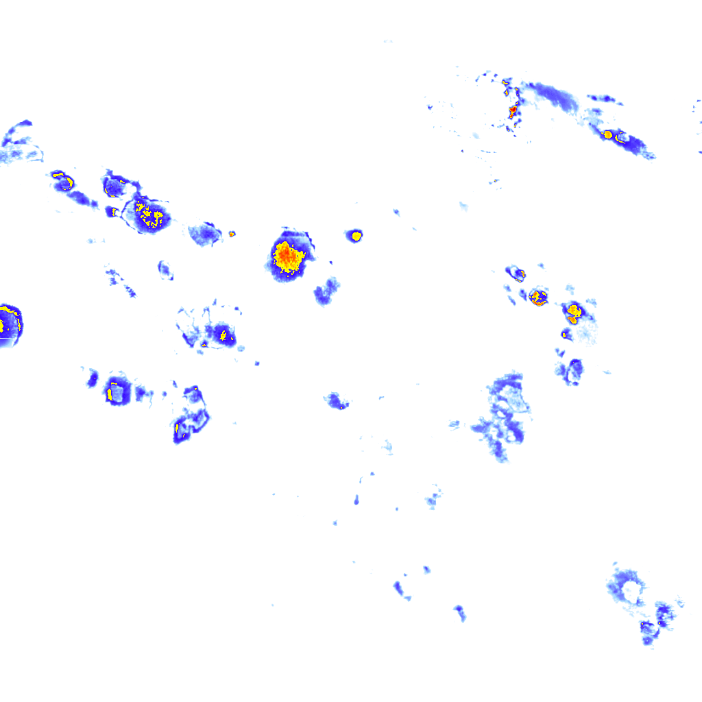 Image Layer