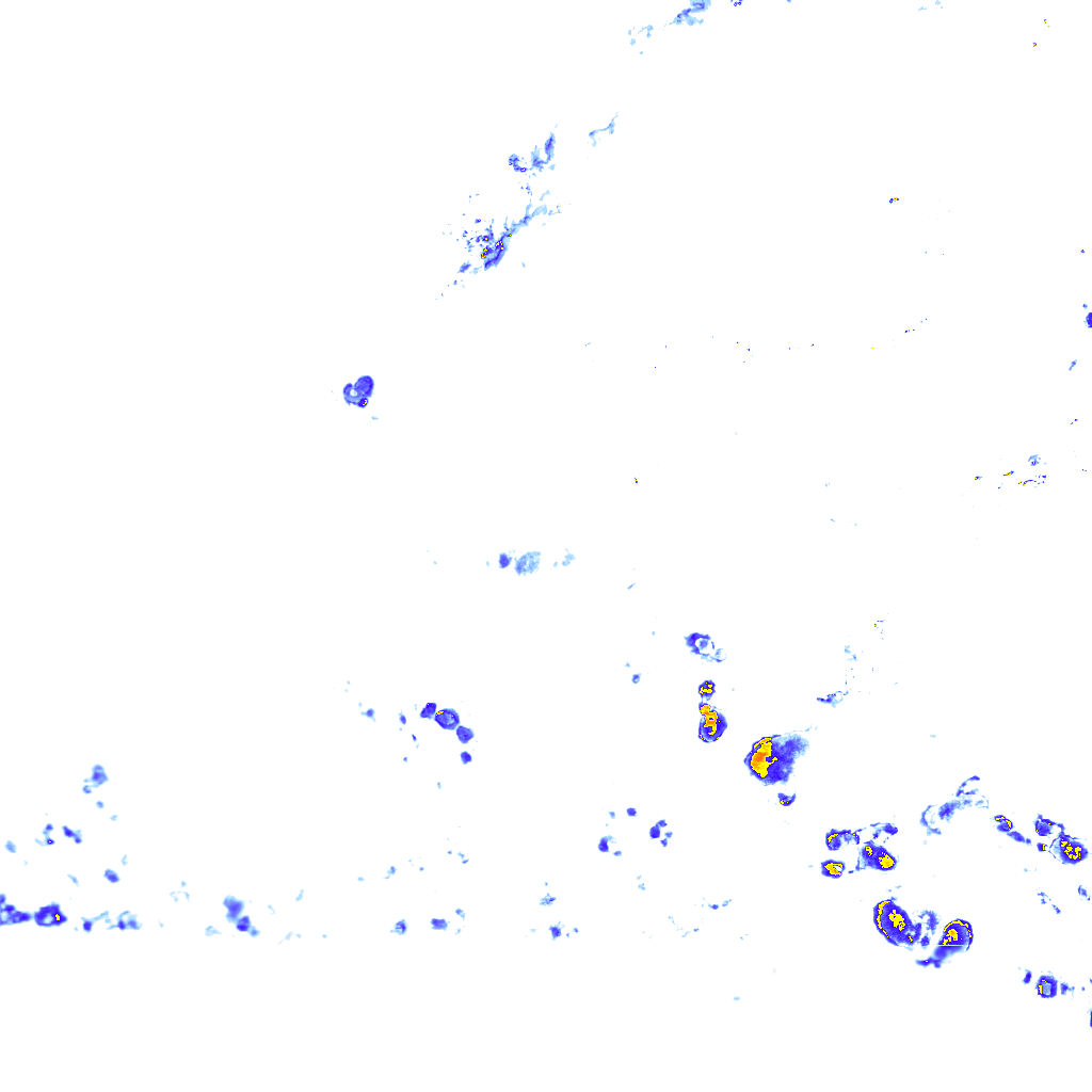 rainLayer