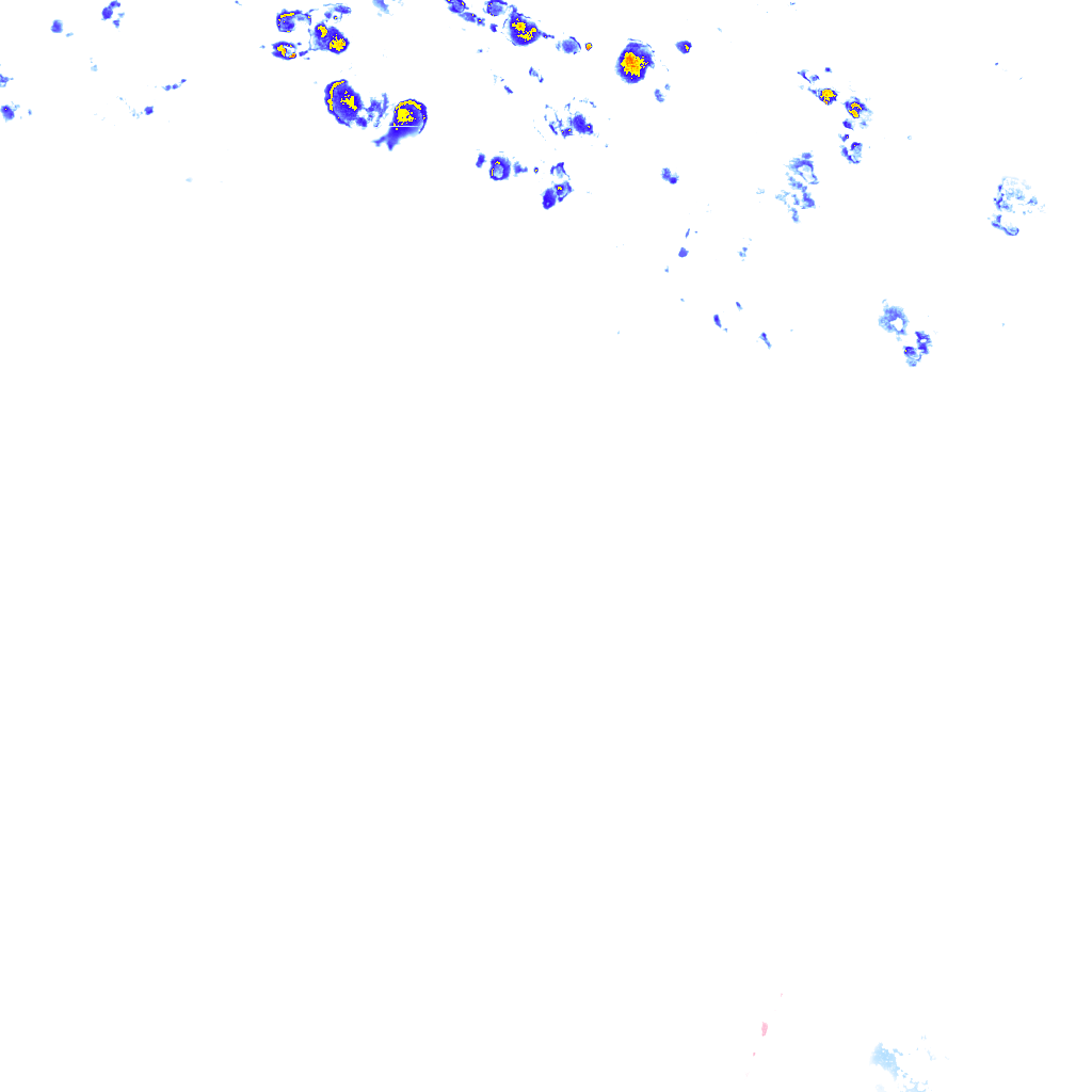 rainLayer