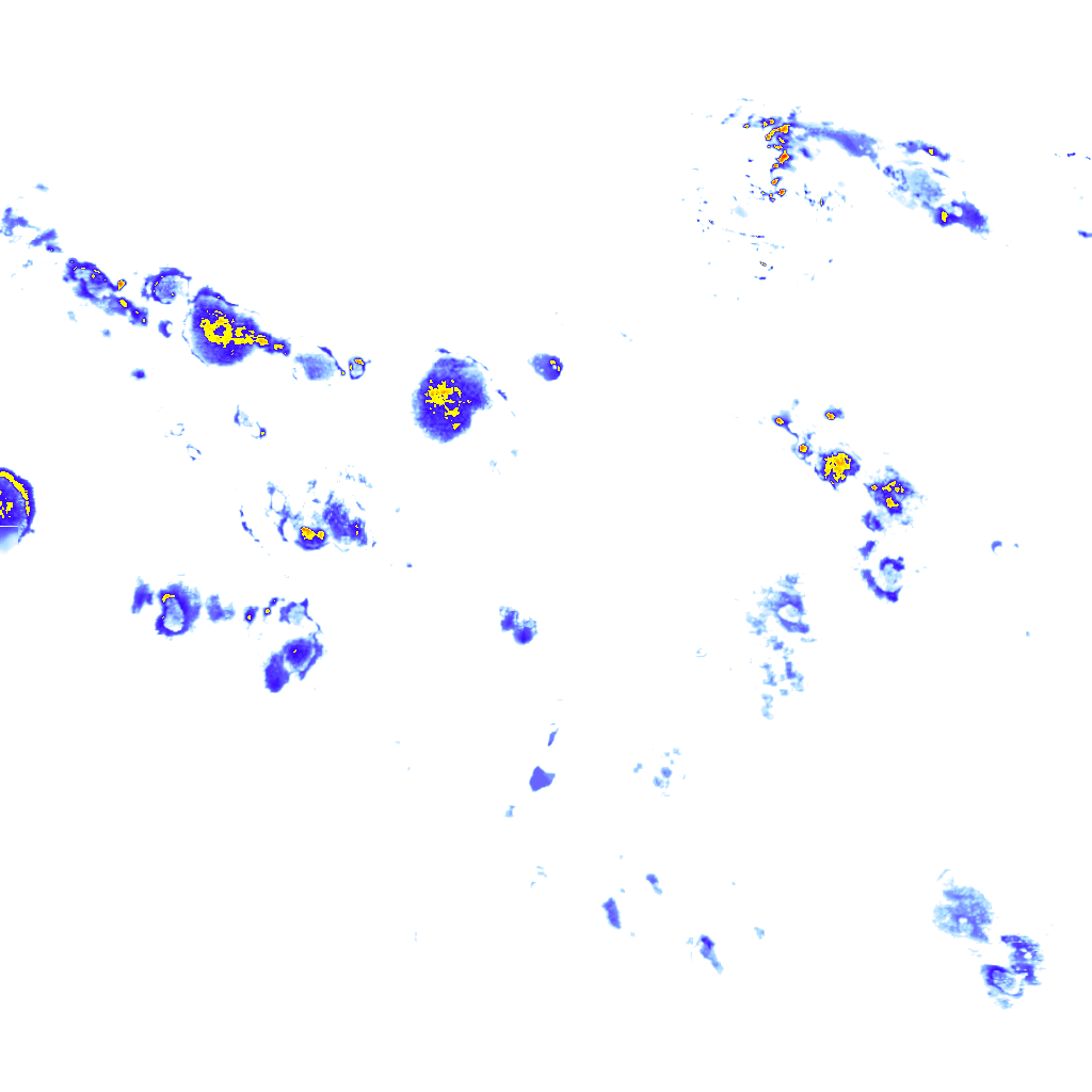 rainLayer