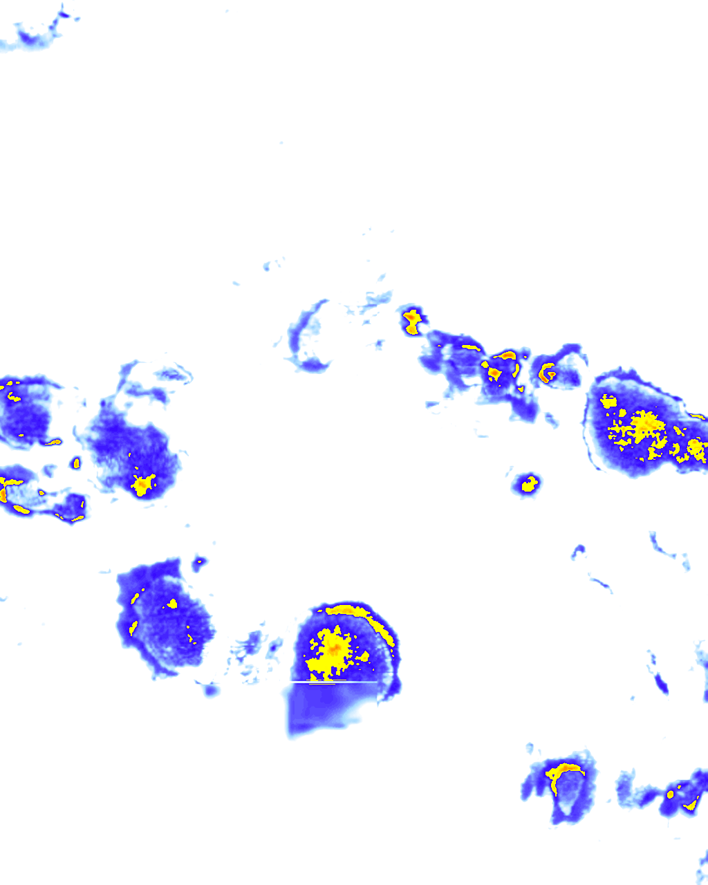 rainLayer